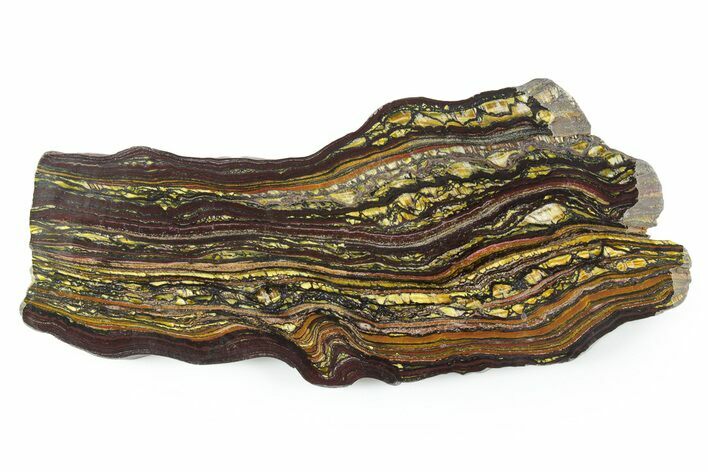 Polished Tiger Iron Stromatolite Slab - Billion Years #351895